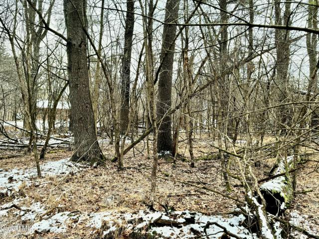 Land for sale in Coxsackie, New York