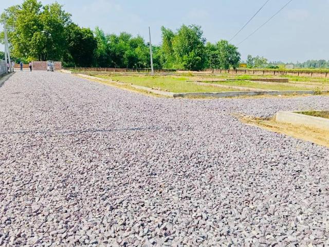Land for sale in Lakhana, Arunachal Pradesh