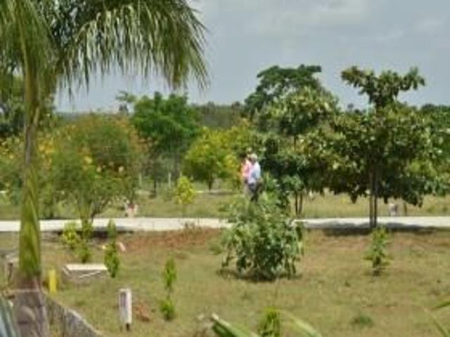 Land for sale in Bangalore North, Cox Town - Bangalore