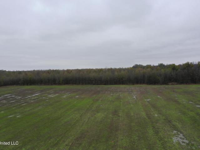 Land for sale in Mississippi