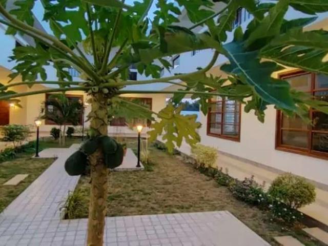 House for rent in North Waziristan, Federally Administered Tribal Areas fata