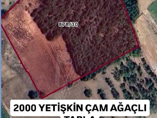 Acipayam, Denizli içerisinde satılık Arsa