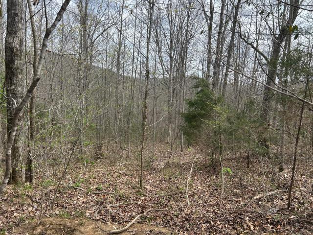Land for sale in Monticello, Kentucky