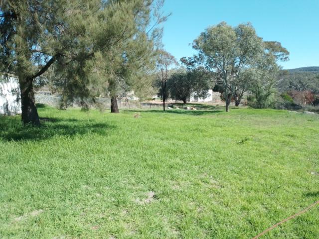 Property for sale in Molong, New South Wales