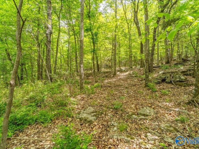 Land for sale in Huntsville, Alabama
