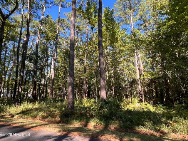 Land for sale in Oriental, Pamlico County