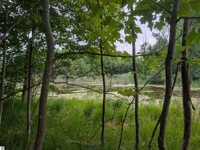 Land for sale in Traverse City, Michigan