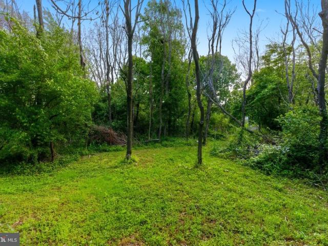 Land for sale in Falling Waters, West Virginia