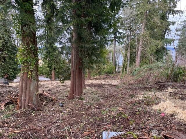 Land for sale in Steilacoom, Washington