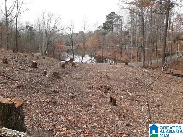 Land for sale in Alabama