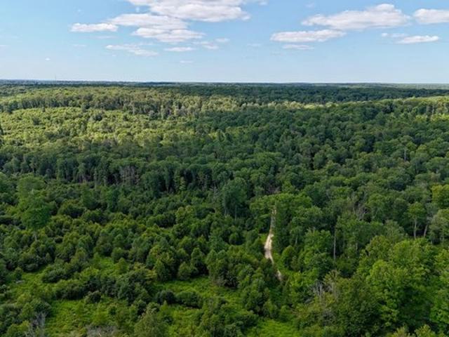 Land for sale in Cooksburg, Pennsylvania