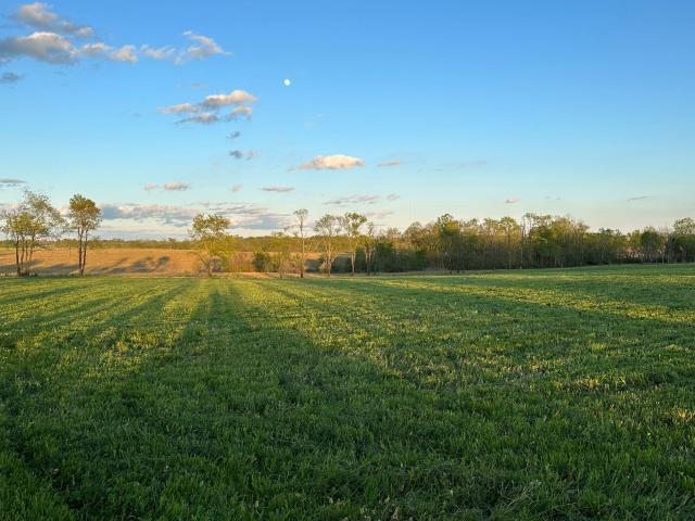 Land for sale in Carlisle, Kentucky