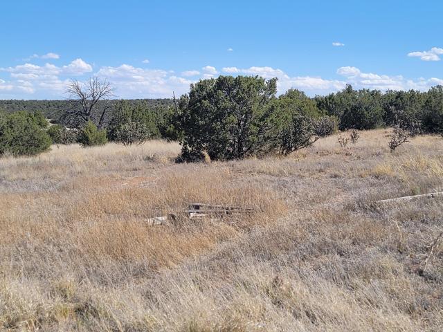 Land for sale in Edgewood, New Mexico