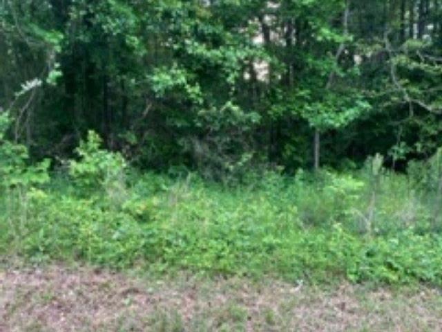 Land for sale in Eastaboga, Alabama