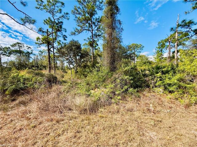 Land for sale in Alva, Florida