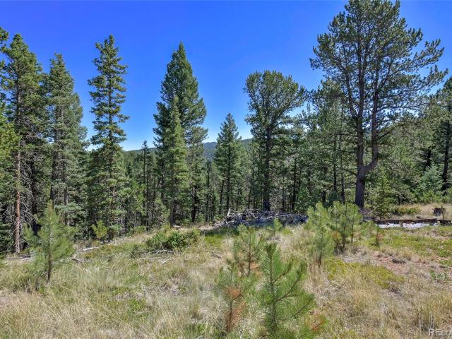 Land for sale in Divide, Teller County