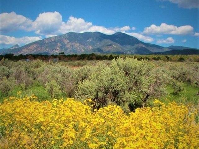 Land for sale in Taos, Taos County