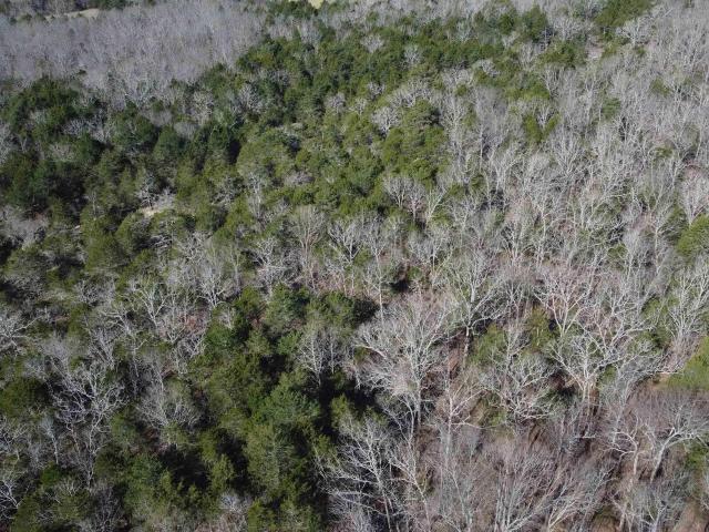 Land for sale in Bradford, Jackson County