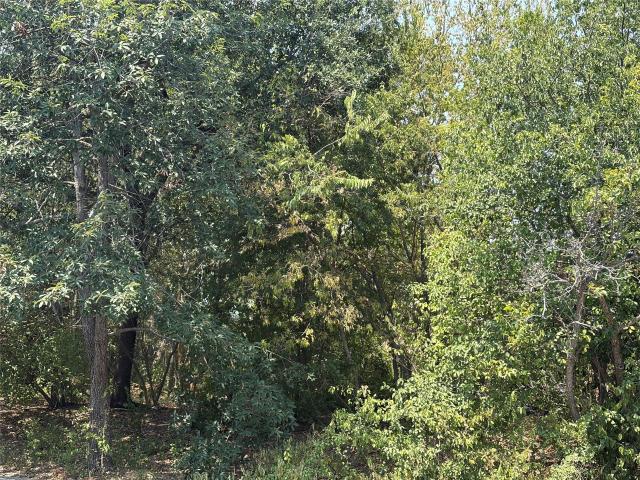 Land for sale in Travis Heights, Austin