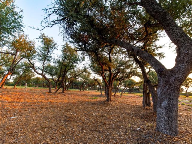 Land for sale in Williamson, Texas