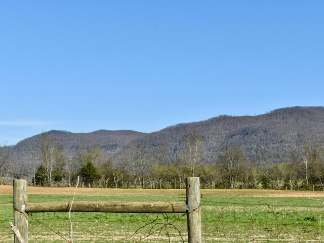 Land for sale in Ninemile, Pikeville