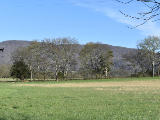 Land for sale in Ninemile, Pikeville