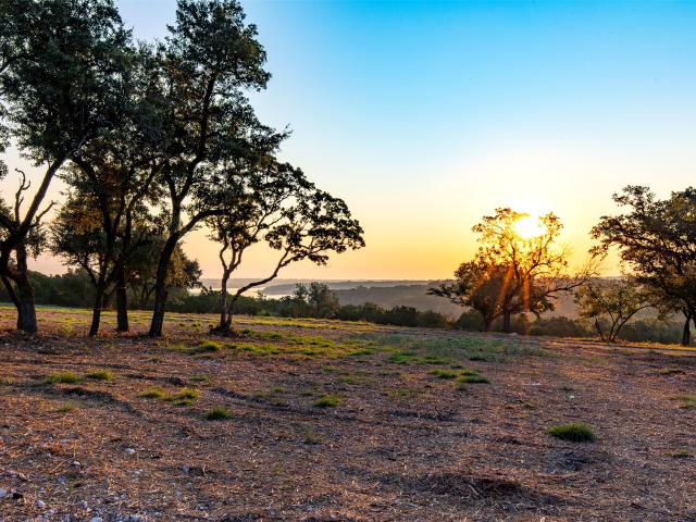 Land for sale in Williamson, Texas