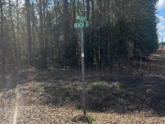 Land for sale in Walterboro, South Carolina