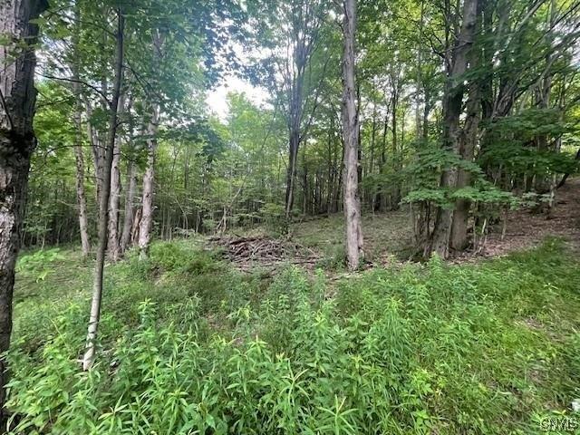 Land for sale in City of Cortland, Cortland County