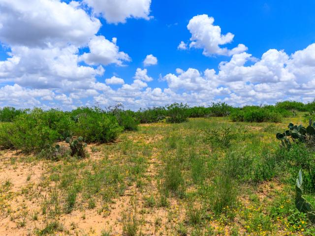Ranch for sale in Catarina