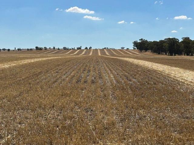 Property for sale in Yerong Creek, New South Wales