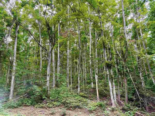 Land for sale in Harbor Springs, Michigan