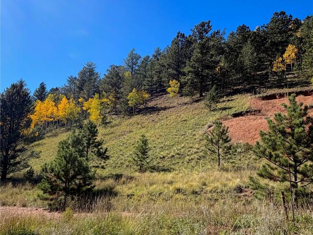 Land for sale in Divide, Teller County