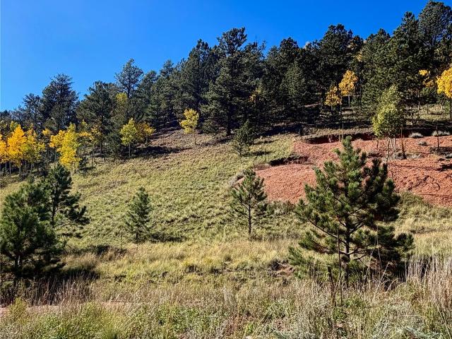 Land for sale in Divide, Teller County