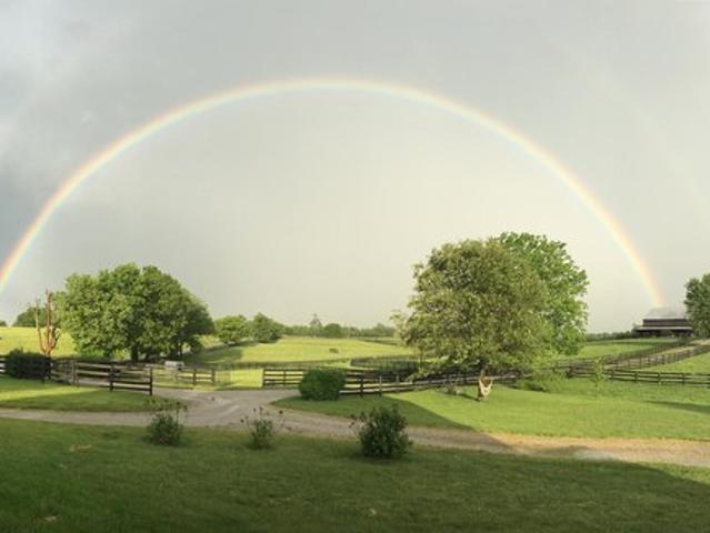 Farm for sale in Versailles, Kentucky