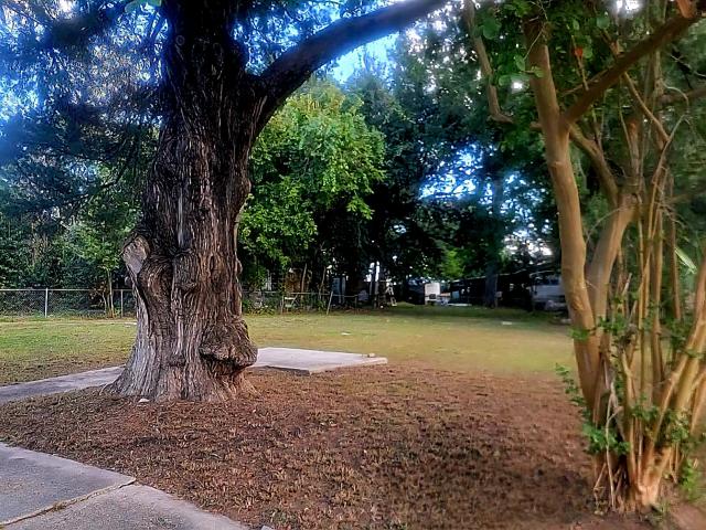 Land for sale in Iberia, Louisiana