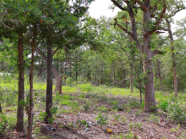Land for sale in Smithville, Texas