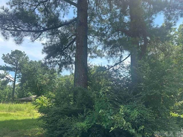 Land for sale in Ark