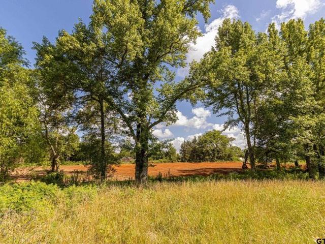 Land for sale in Smith, Texas