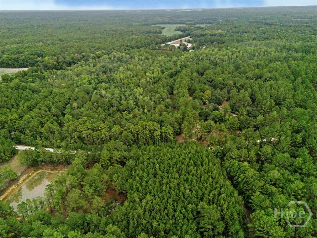 Land for sale in Brooklet, Georgia