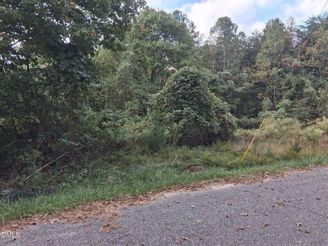 Land for sale in Leaksville, Eden