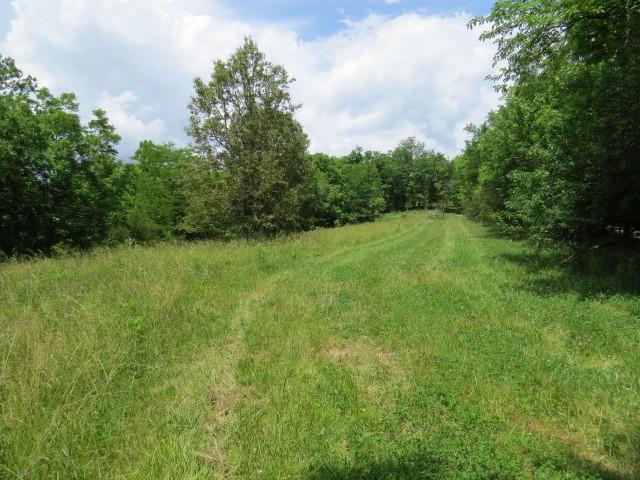 House for sale in Pulaski, Middle Tennessee