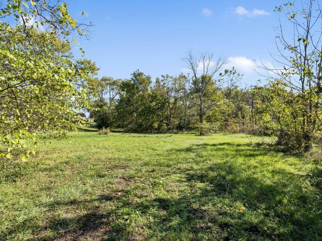Land for sale in Highlandville, Missouri