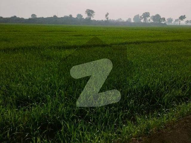 Land for sale in Bhakkar, Islamabad Capital Territory