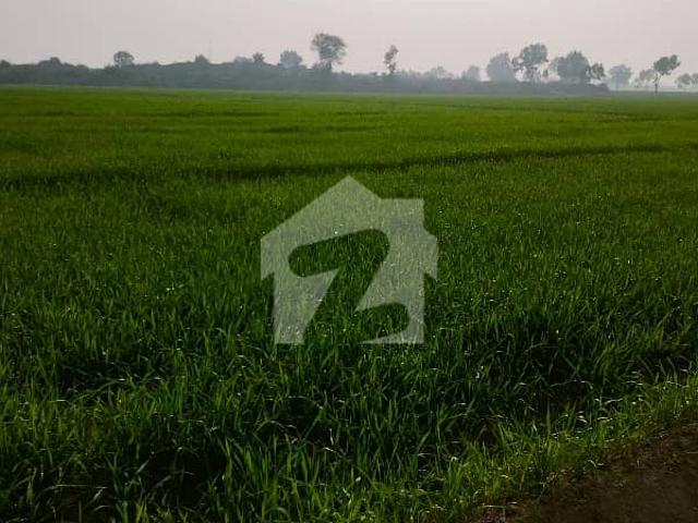Land for sale in Bhakkar, Islamabad Capital Territory