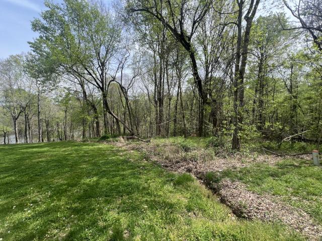 Land for sale in Adolphus, Kentucky