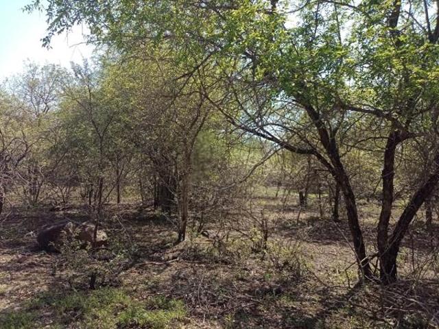 Land for sale in Komatipoort, Nkomazi