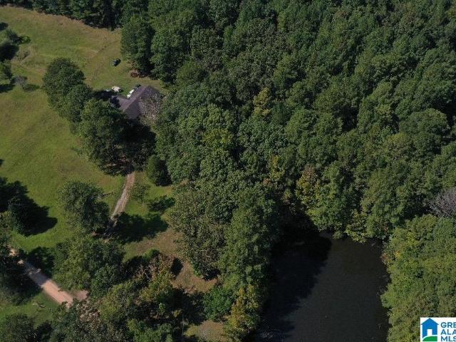 House for sale in Lawley, Pell City