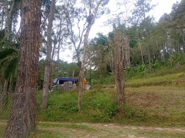 Sítio e chácara venda em Região Imediata de São Paulo, Região Metropolitana de São Paulo