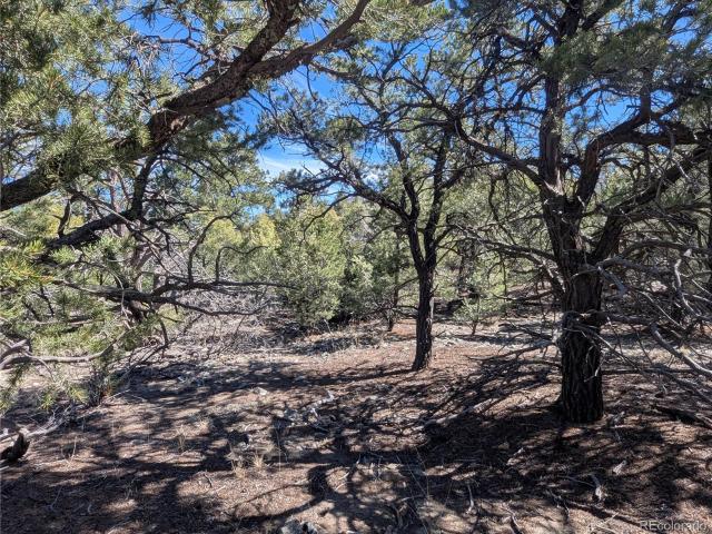 Land for sale in Colorado